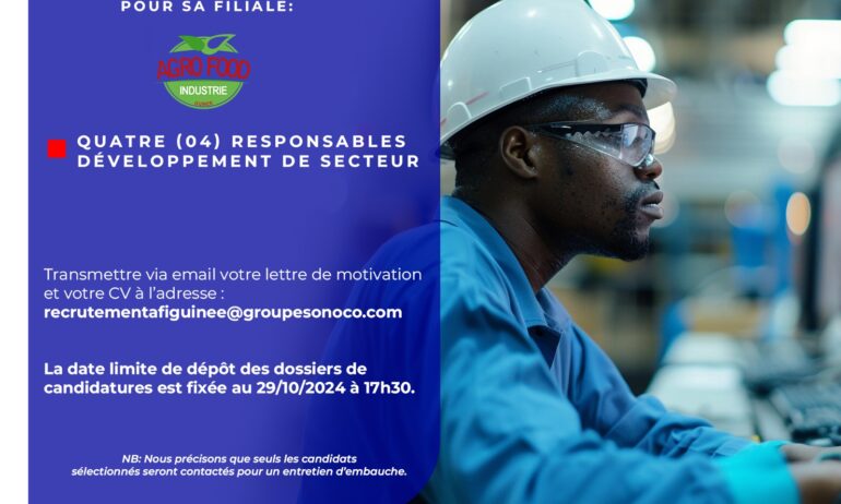 QUATRE (04) RESPONSABLES DÉVELOPPEMENT DE SECTEUR